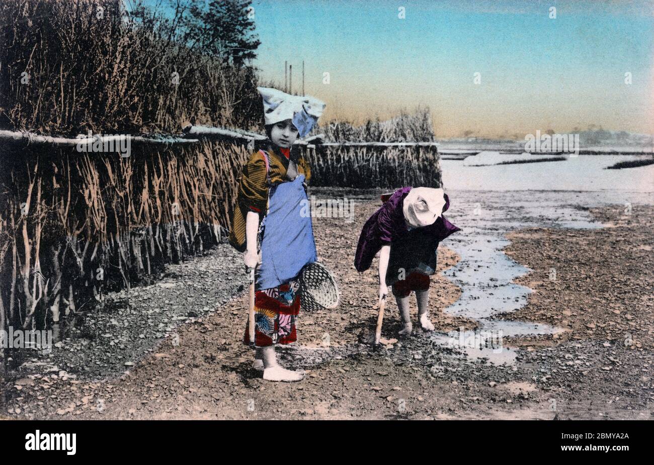 [ 1910s Japon - les femmes japonaises rassemblent des coquillages ] — deux femmes rassemblent des coquillages au bord de la mer à marée basse. Ce fut un passé commun et populaire au Japon jusqu'à ce que l'eau devienne trop polluée. Récemment, cette douane fait un retour aux endroits où les plages ont été suffisamment régénérées. Cette carte postale a été publiée entre mars 1907 (Meiji 40) et mars 1918 (Taisho 7). carte postale vintage du xxe siècle. Banque D'Images