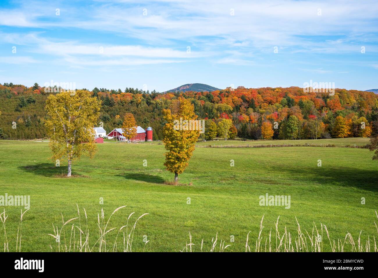 Paysage rural avec une grange rouge avec un silo au pied d'une colline boisée et pâturage en premier plan. Superbes couleurs d'automne. Banque D'Images