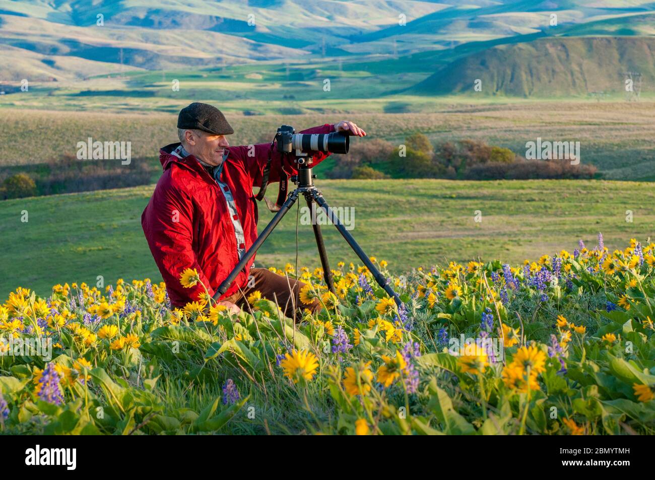 Photographe paysagiste, Adam Gibbs, The Columbia Hills, Washington, États-Unis Banque D'Images