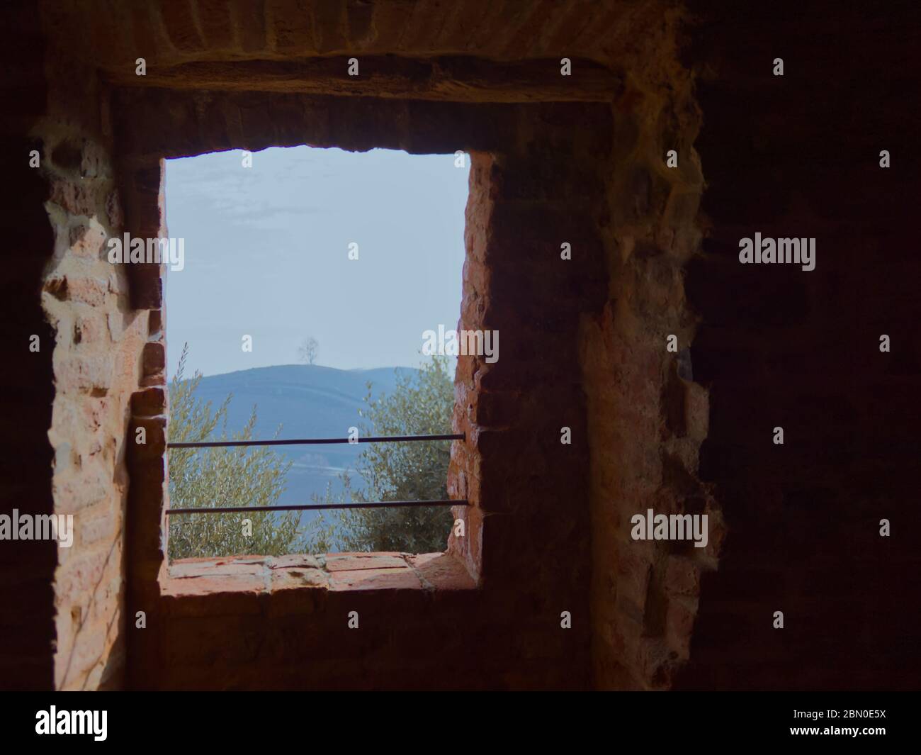 arbre en haut d'une colline vue par une fenêtre Banque D'Images