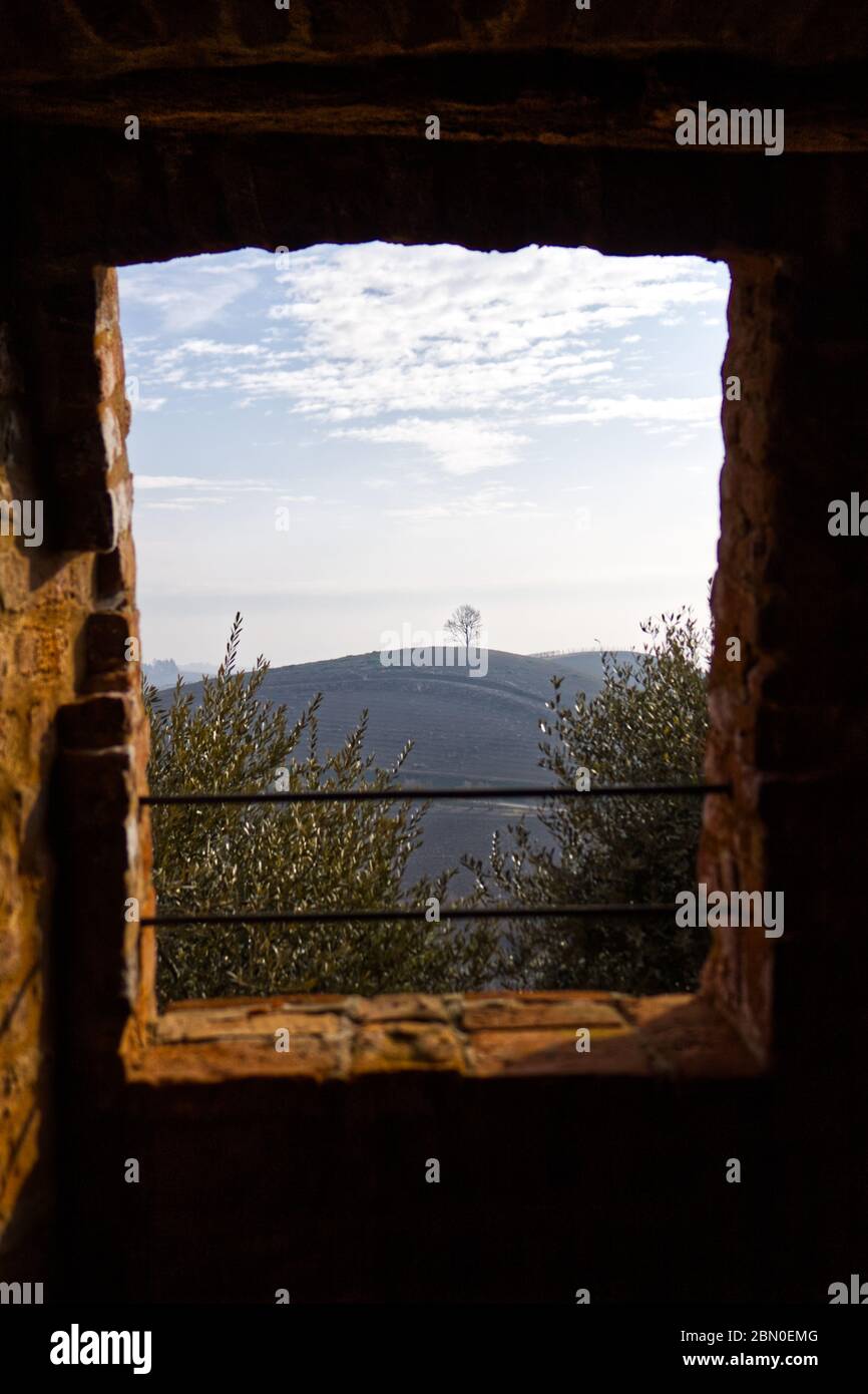 arbre en haut d'une colline vue par une fenêtre Banque D'Images