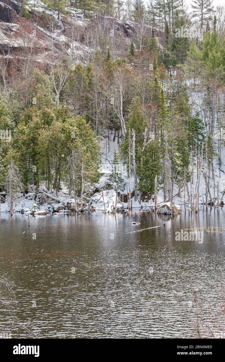 Montagnes Rocheuses canadiennes en hiver Banque D'Images