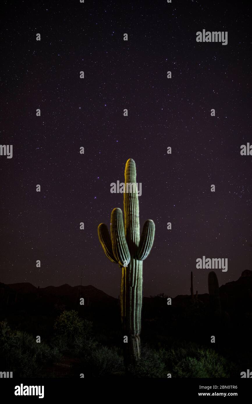 Nuit dans les montagnes de Tortolita, Marana, près de Tucson, Arizona. Banque D'Images