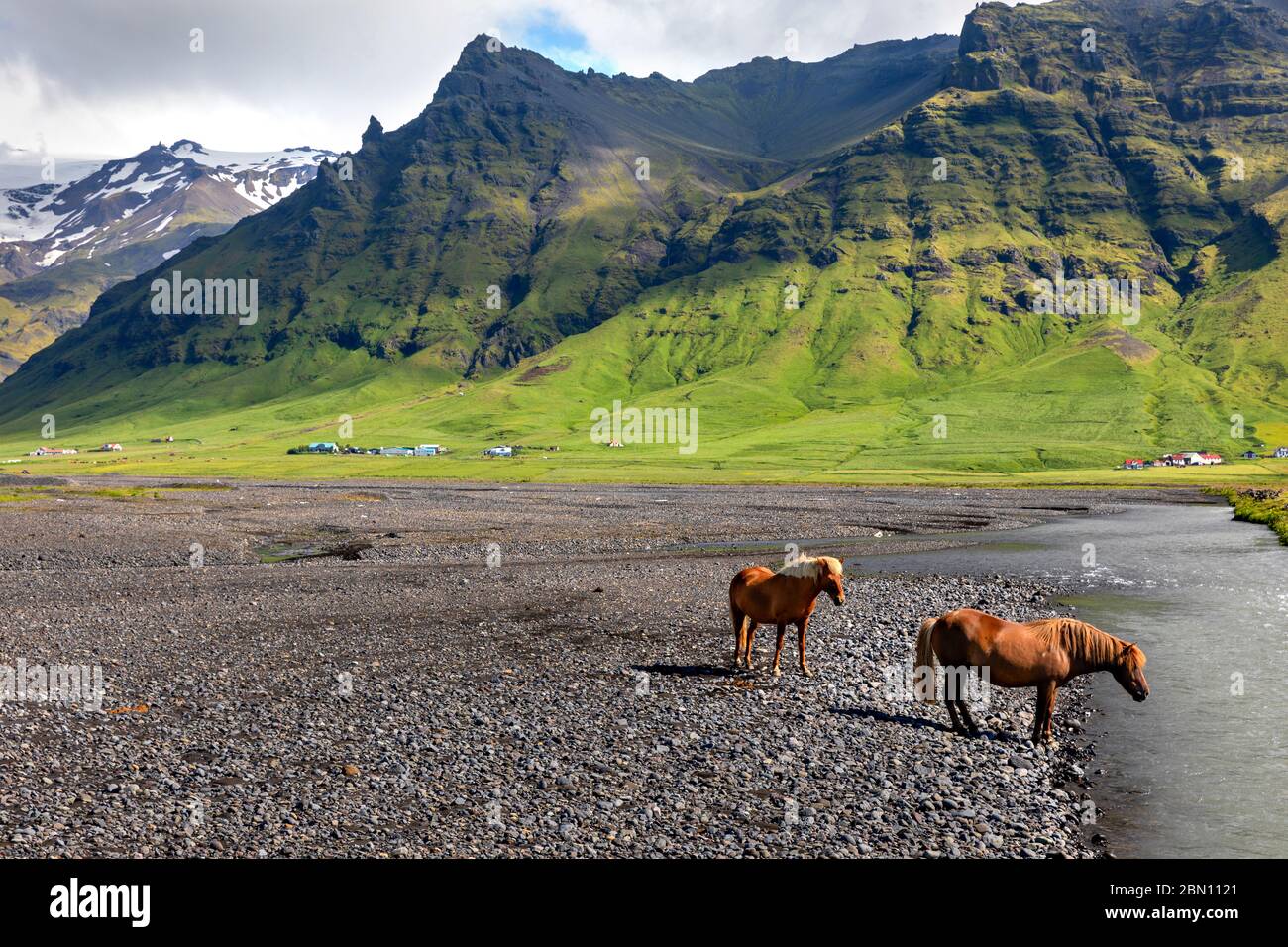 Chevaux islandais dans la région sud de l'Islande Banque D'Images