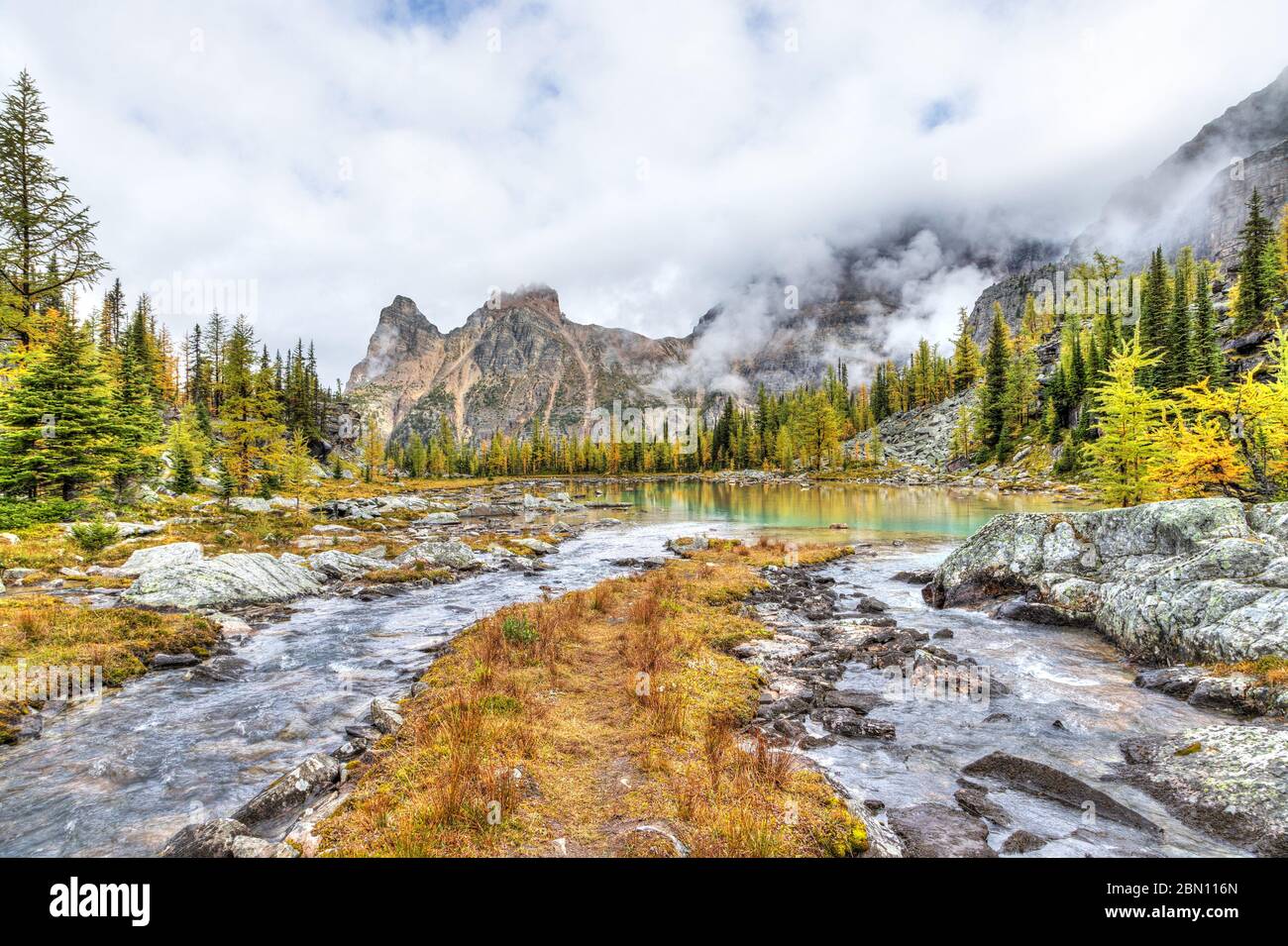 Scène d'automne au lac O'Hara dans les Rocheuses canadiennes du parc national Yoho avec des mélèzes qui deviennent dorés sur les lacs Moor et un brouillard épais sur le mont Yukness Banque D'Images