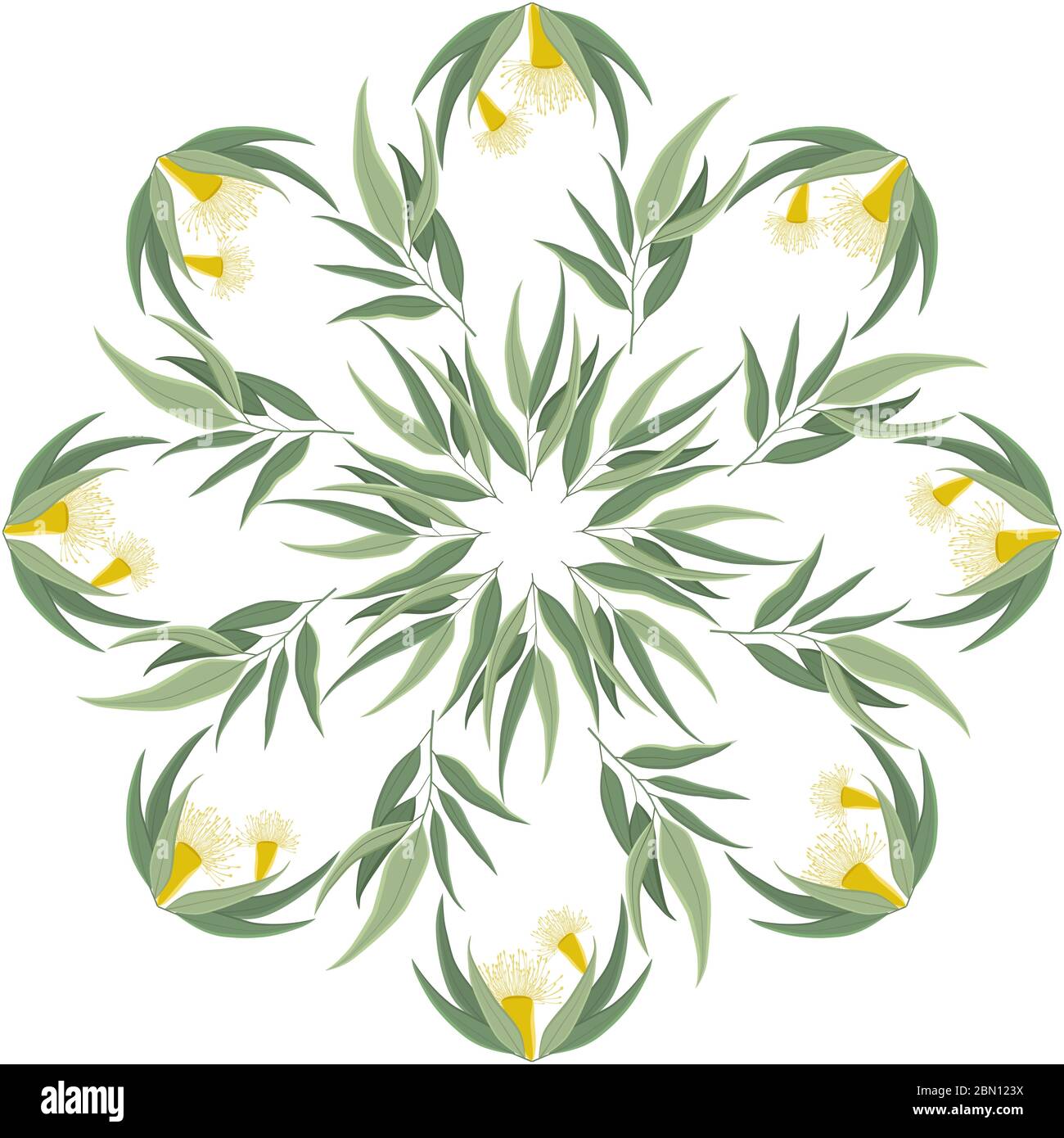 Abstrait rond nature ornement, mandala avec des feuilles d'eucalyptus et des fleurs. Motif floral circulaire isolé sur fond blanc Illustration de Vecteur