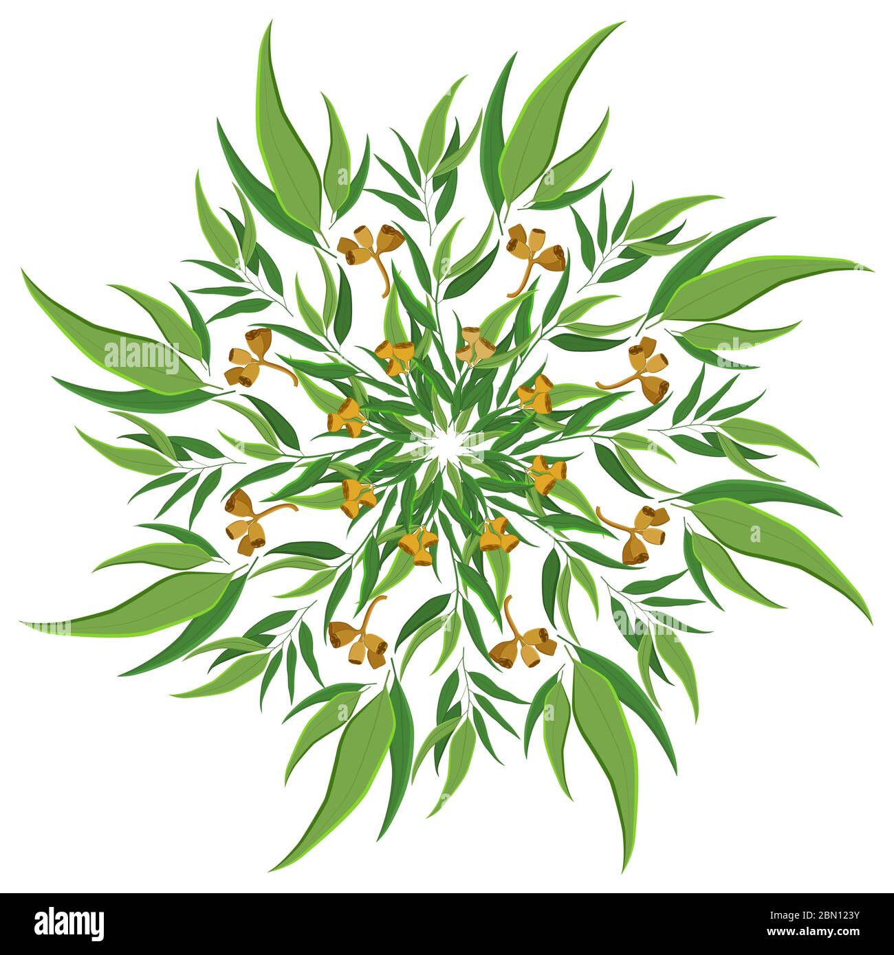 Décoration ronde abstraite nature, motif mandala. Motif floral circulaire à l'eucalyptus, motif isolé sur fond blanc Illustration de Vecteur