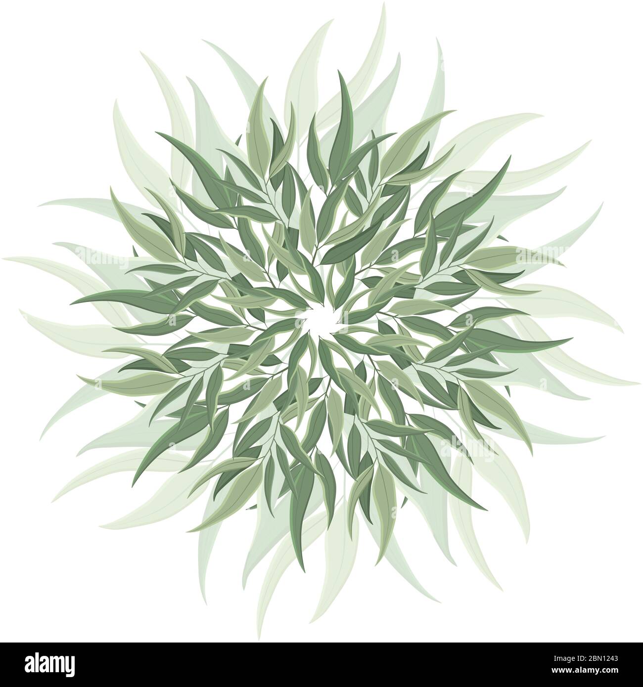 Décoration ronde abstraite, mandala avec feuilles d'eucalyptus. Motif botanique circulaire, motif isolé sur fond blanc Illustration de Vecteur