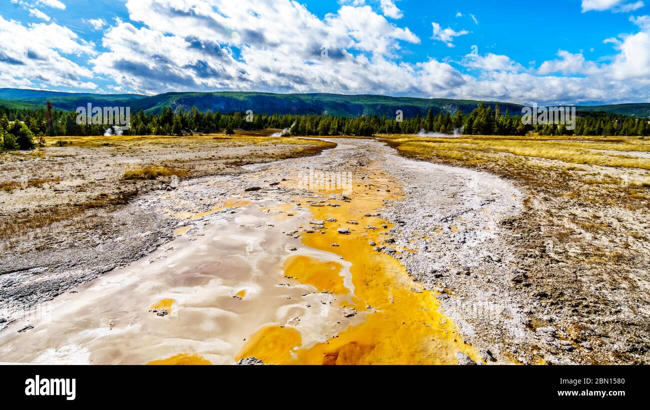 Le tapis bactérien dans le canal de drainage du Grand Geyser dans le bassin supérieur du Geyser, le long de la voie de partage continental dans le parc national de Yellowstone Banque D'Images