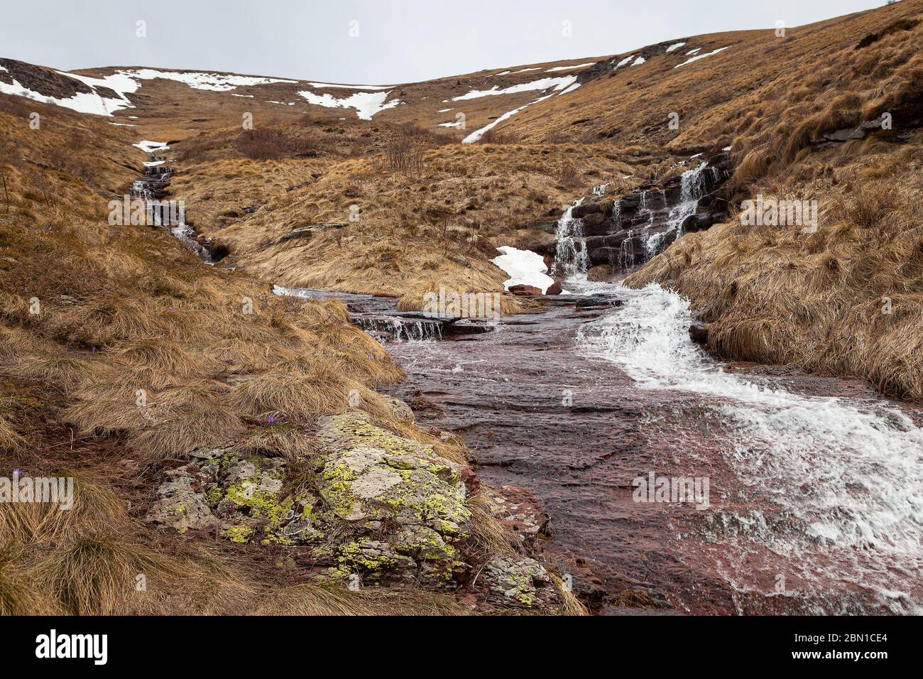 Mountain creek en cascade sur les rochers rouges et sombres recouverts de mousse jaune vif et entouré d'herbe sèche et de fleurs de safran Banque D'Images