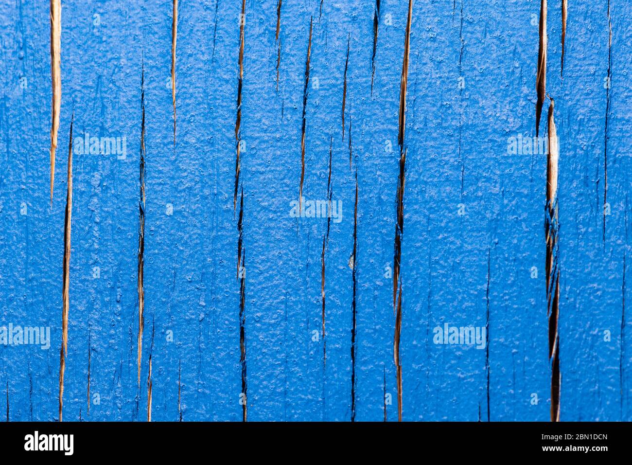 Texture de l'ancien panneau en bois recouvert de peinture. Couleur bleue classique de l'année 2020. Banque D'Images
