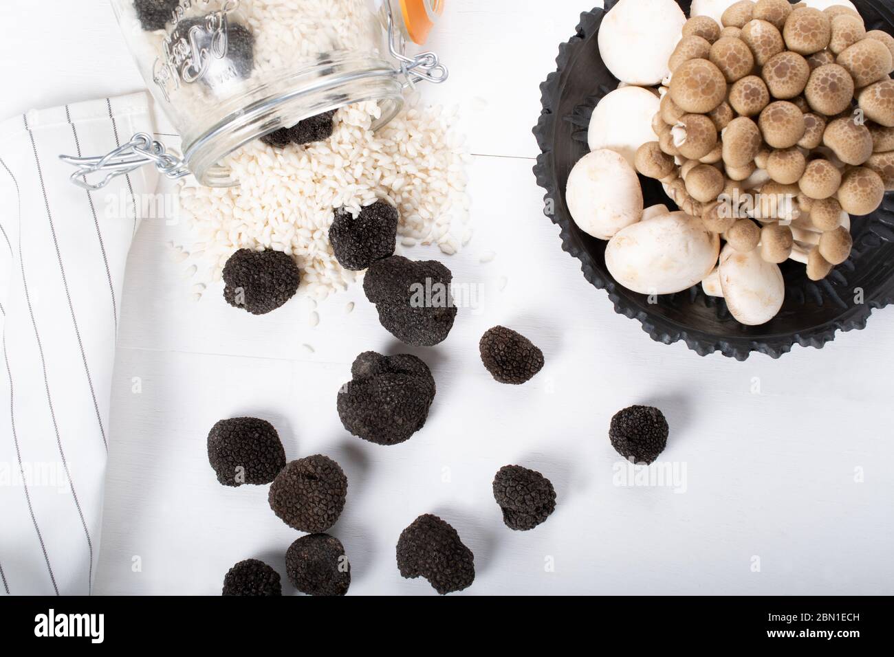 Champignons sauvages, truffes, porcini, chanterelle, champignon isolés sur fond de bois blanc Banque D'Images