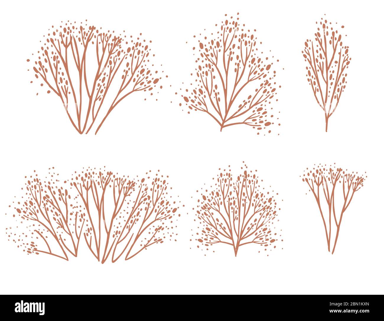 Ensemble de silhouettes d'algues corail orange à vecteur plat, illustration isolée sur fond blanc Illustration de Vecteur