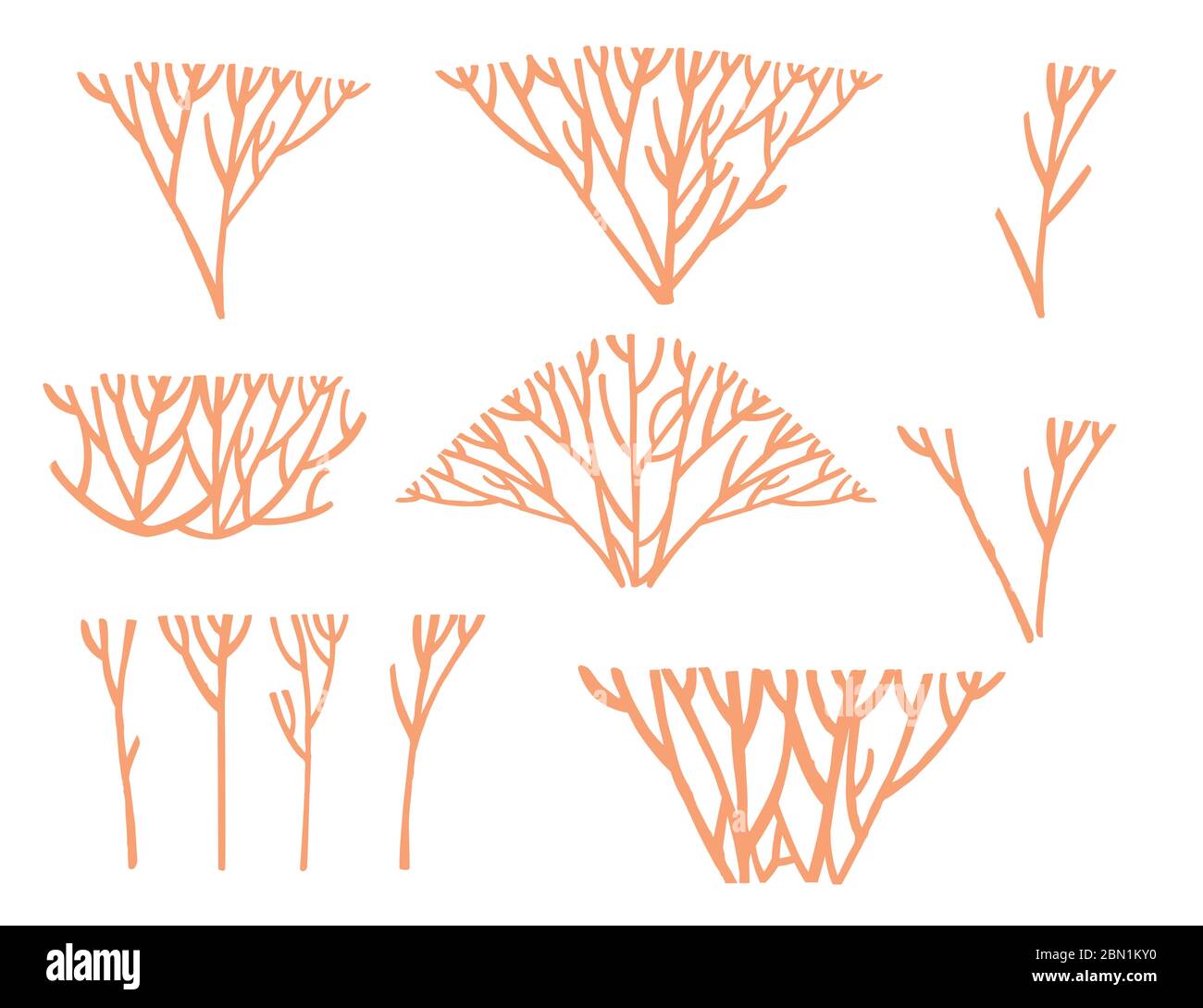 Ensemble de silhouettes d'algues corail orange à vecteur plat, illustration isolée sur fond blanc Illustration de Vecteur