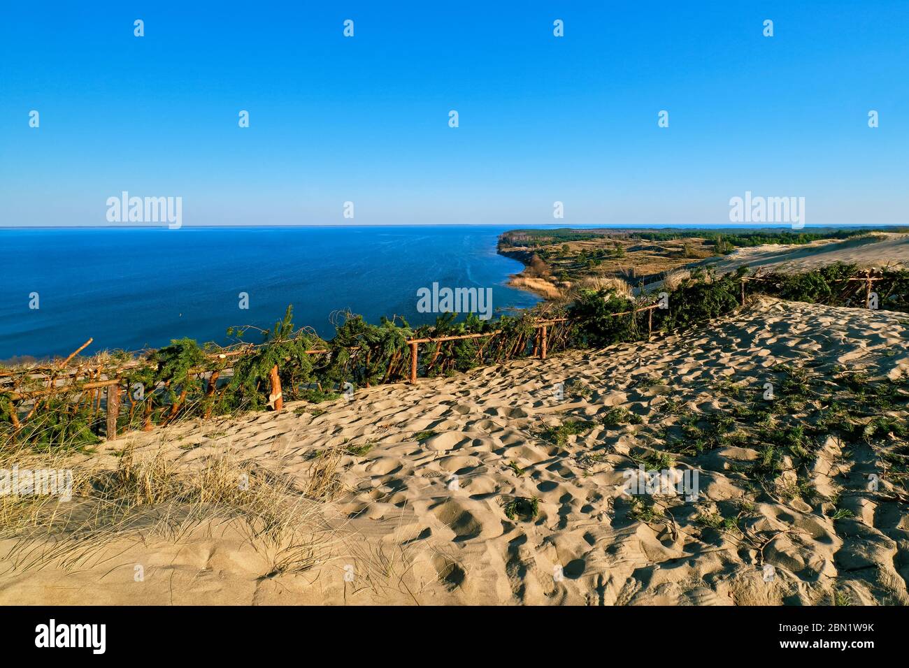 Paysage de la merde de Curonie, Nida, Klaipeda, Lithiania et mer Baltique. Dunes de sable, clôtures protectrices, branches de pin, empreintes de pas, flore printanière précoce. Banque D'Images