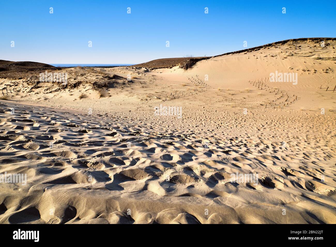 Vue sur les magnifiques dunes nordiques de la merde de Curonian, Nida, Lituanie, motifs de sable blanc, empreintes de pas, ciel bleu. Désert et soleil et une certaine flore. Banque D'Images