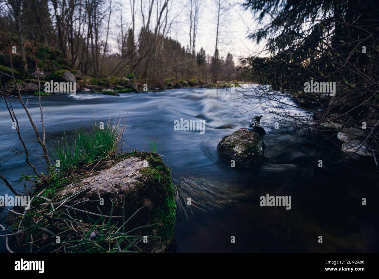 La pierre de rivière et les arbres. Rivière rapide au milieu de la forêt. Flux d'eau à exposition longue. Banque D'Images