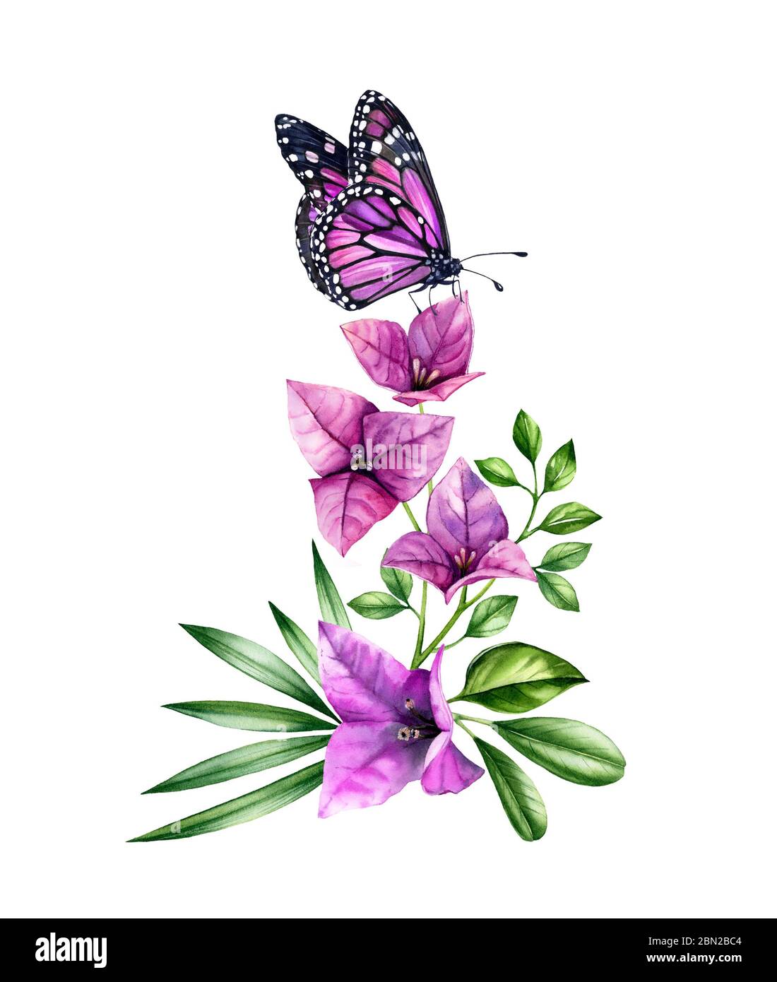 Branche de bougainvilliers aquarelle avec papillon. Fleurs violettes, monarque violet et feuilles de palmier. Bouquet tropical floral peint à la main. Botanique Banque D'Images