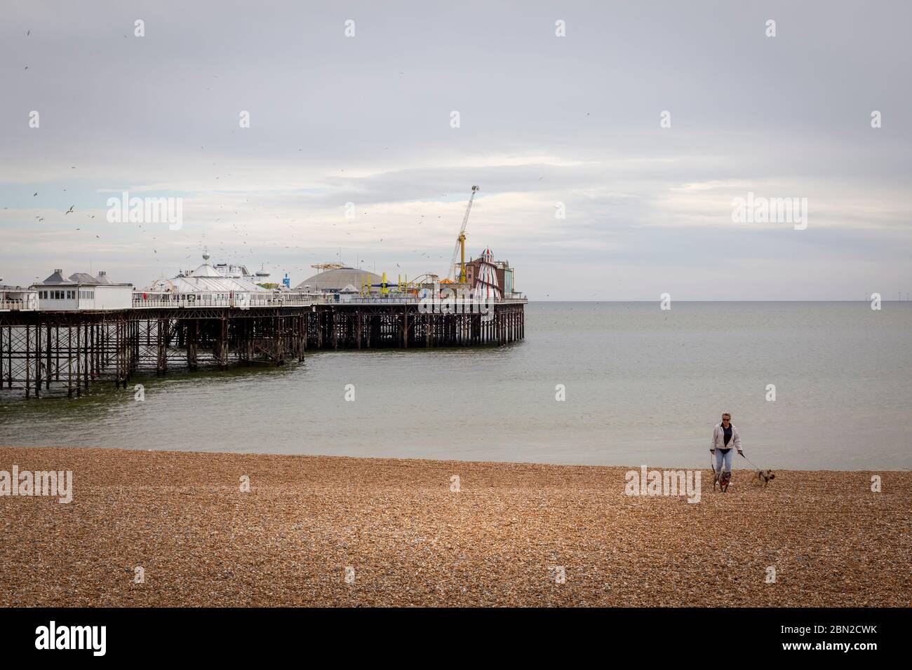 Marcher le chien sur la plage de Brighton pendant le lock-down Banque D'Images