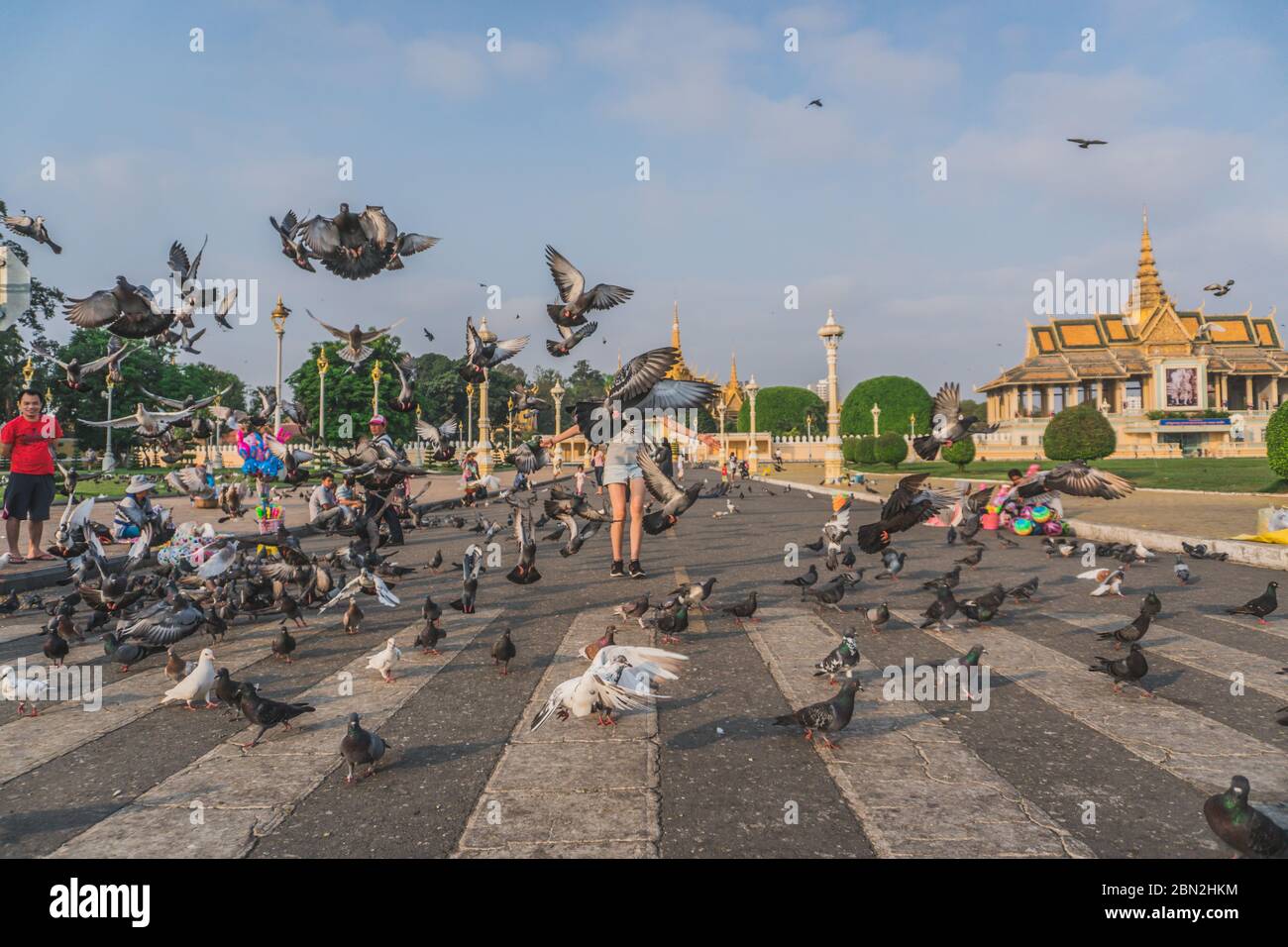 Oiseaux au parc du Palais Royal devant le Palais Royal au quai Sisowath, sur la rivière Tonle SAP, dans la ville de Phnom Penh, au Cambodge. Phnom Penh, Cambodge - 22 FÉVRIER 2020 Banque D'Images