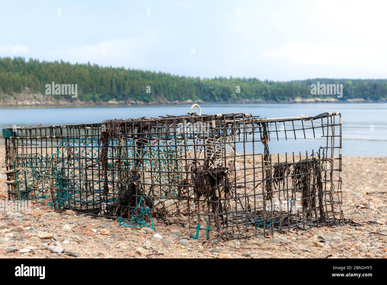 Un vieux piège à homard en métal cassé à moitié enterré sur une plage au bord de l'océan. Il manque des morceaux de métal, et des morceaux de corde et d'algues y pendent. Voilé Banque D'Images