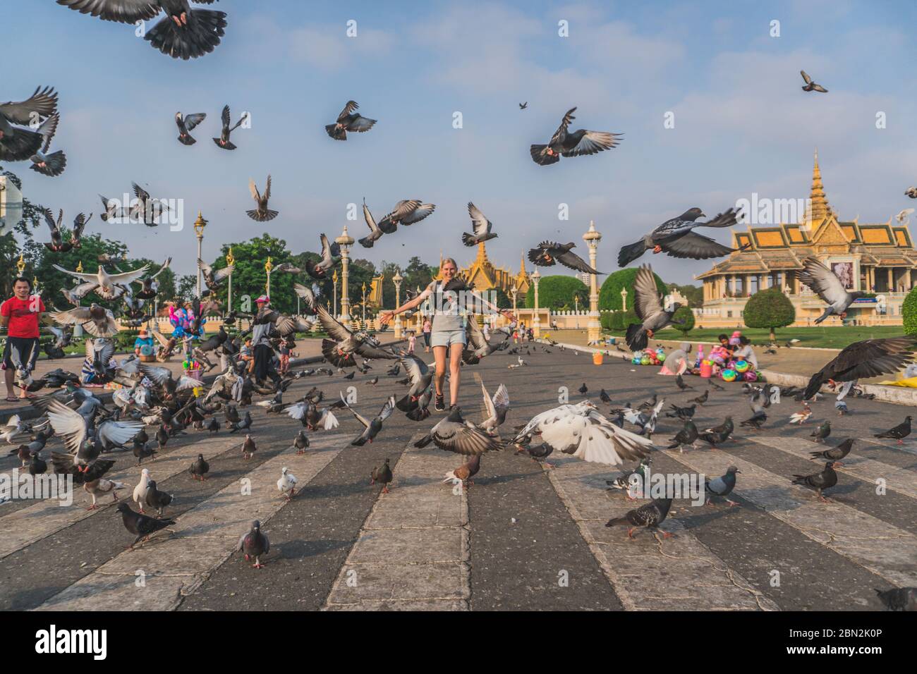 Oiseaux au parc du Palais Royal devant le Palais Royal au quai Sisowath, sur la rivière Tonle SAP, dans la ville de Phnom Penh, au Cambodge. Phnom Penh, Cambodge - 22 FÉVRIER 2020 Banque D'Images