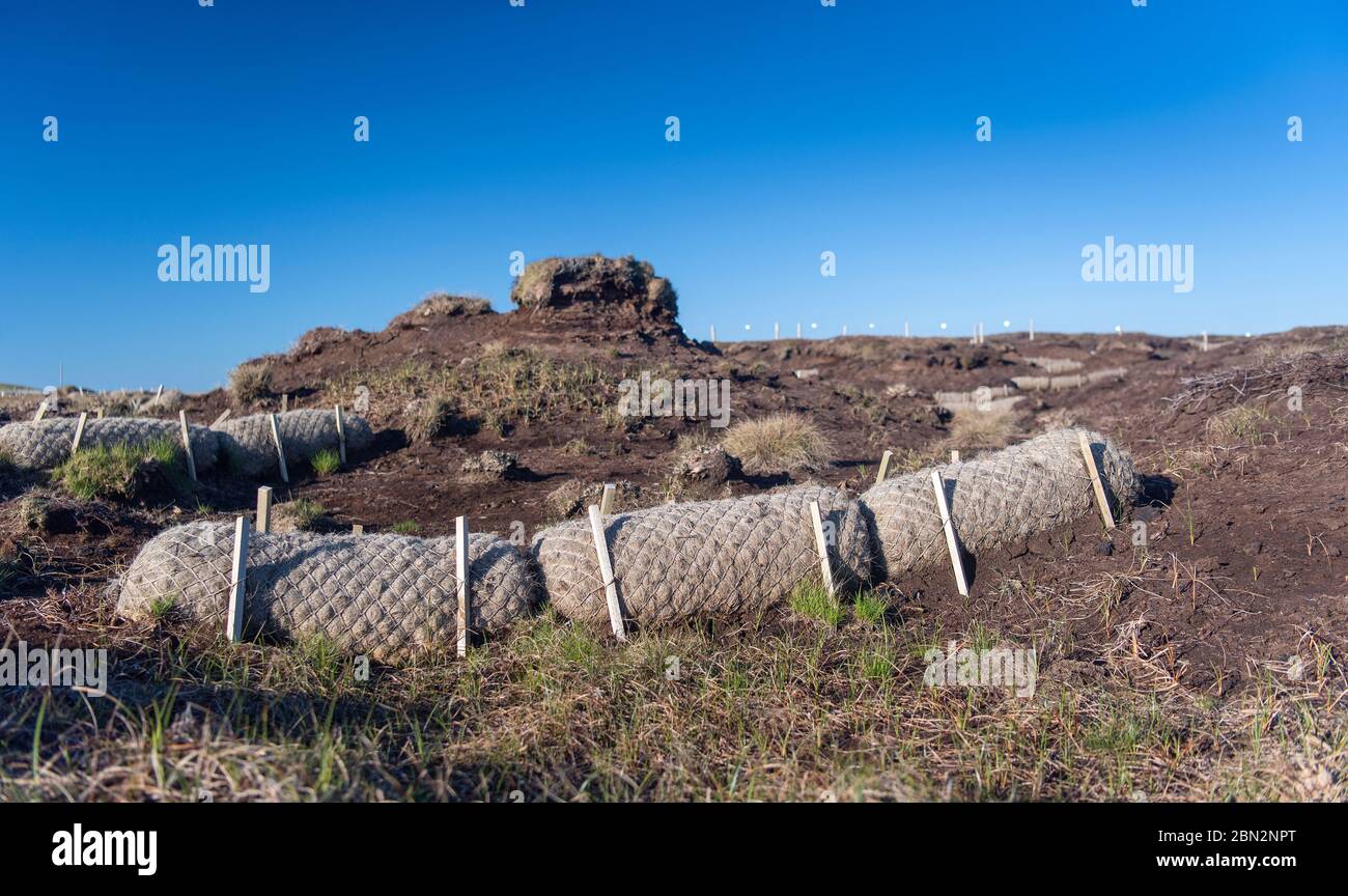 Programme de restauration des tourbières sur les landes de la flottille, utilisant la fibre de coco pour ralentir l'érosion de la tourbe. North Yorkshire, Royaume-Uni. Banque D'Images