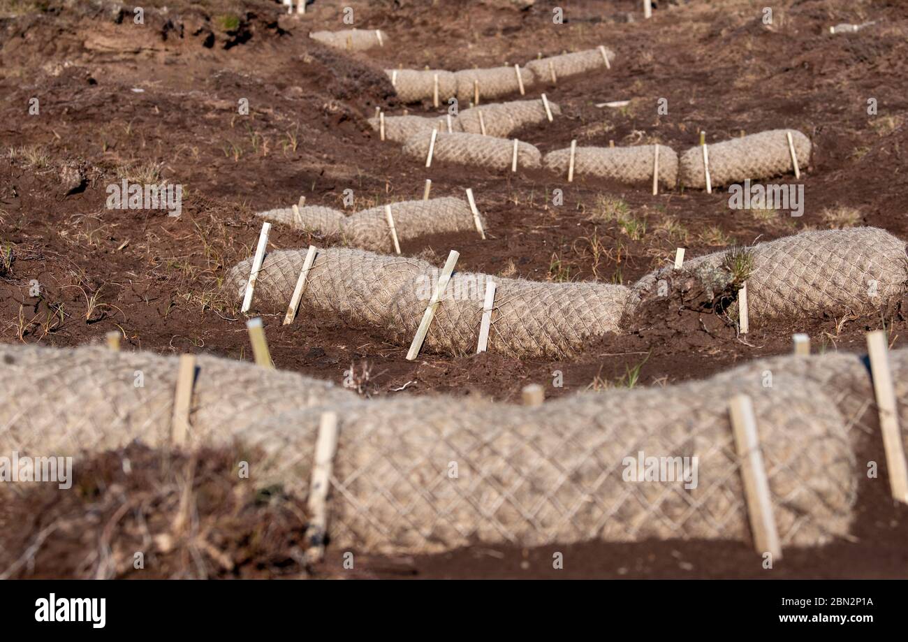 Programme de restauration des tourbières sur les landes de la flottille, utilisant la fibre de coco pour ralentir l'érosion de la tourbe. North Yorkshire, Royaume-Uni. Banque D'Images