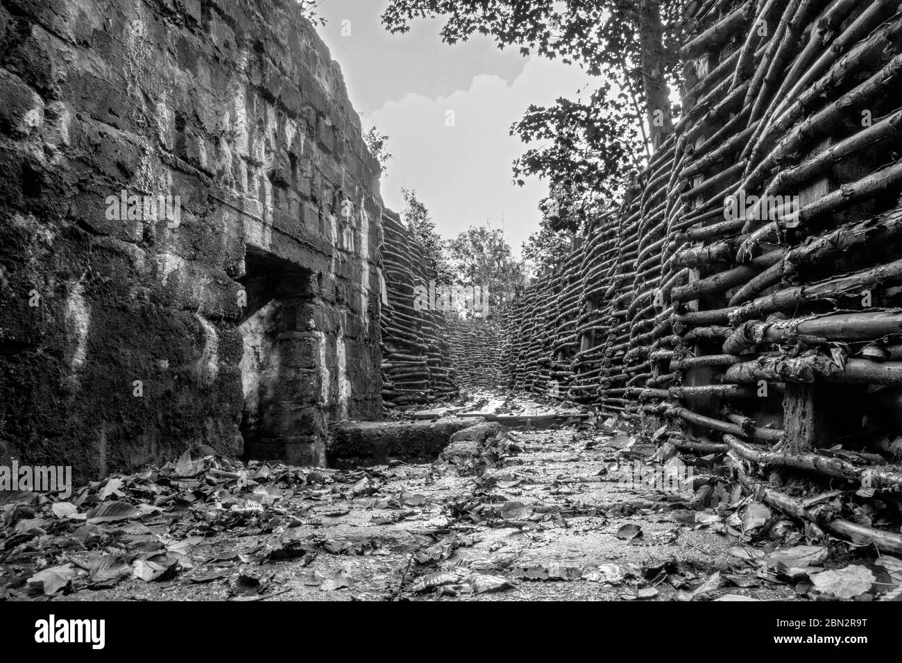 Un système de tranchées et des bunkers de l'armée allemande utilisés pendant la première Guerre mondiale à Bayernwald (Bayern Wood) près d'Ypres, Belgique. Banque D'Images