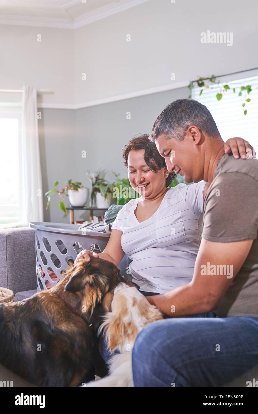 Couple affectueux chiens pétant dans le salon Banque D'Images