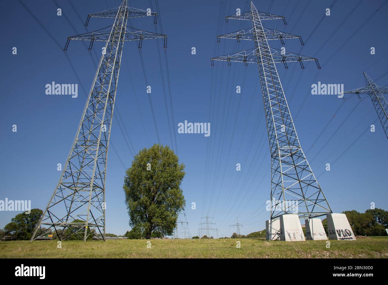 Arbre sous pylônes très puissants dans les prés du Rhin à Leverkusen-Rheindorf, Rhénanie-du-Nord-Westphalie, Allemagne Baum unter sehr hohen Strommasten in Banque D'Images