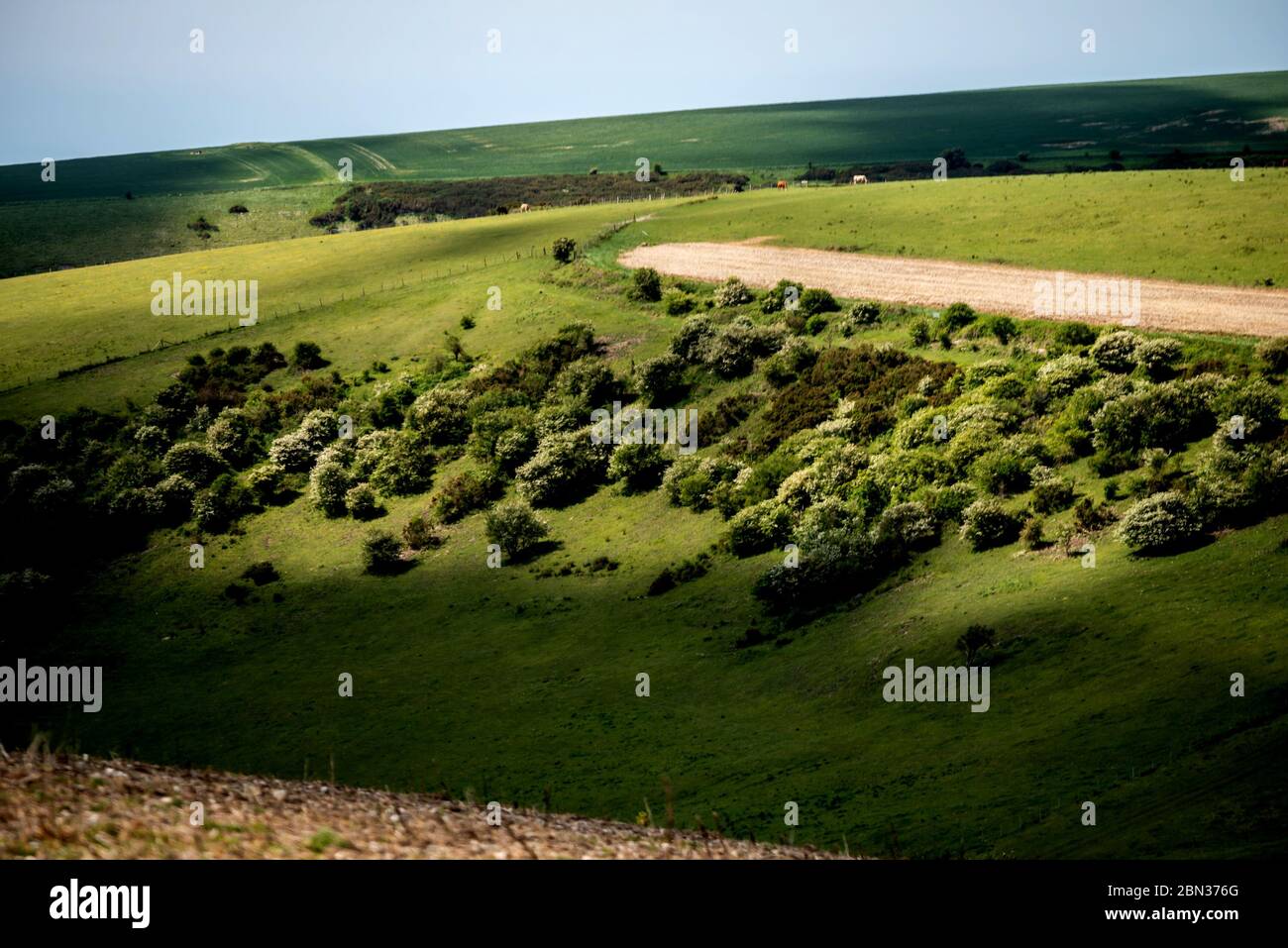 Kingston, Lewes, Royaume-Uni, 12 mai 2020 : temps variable au sommet des South Downs, à Kingston, près de Lewes, East Sussex ce matin. Crédit : Andrew Hasson/Alay Live News Banque D'Images