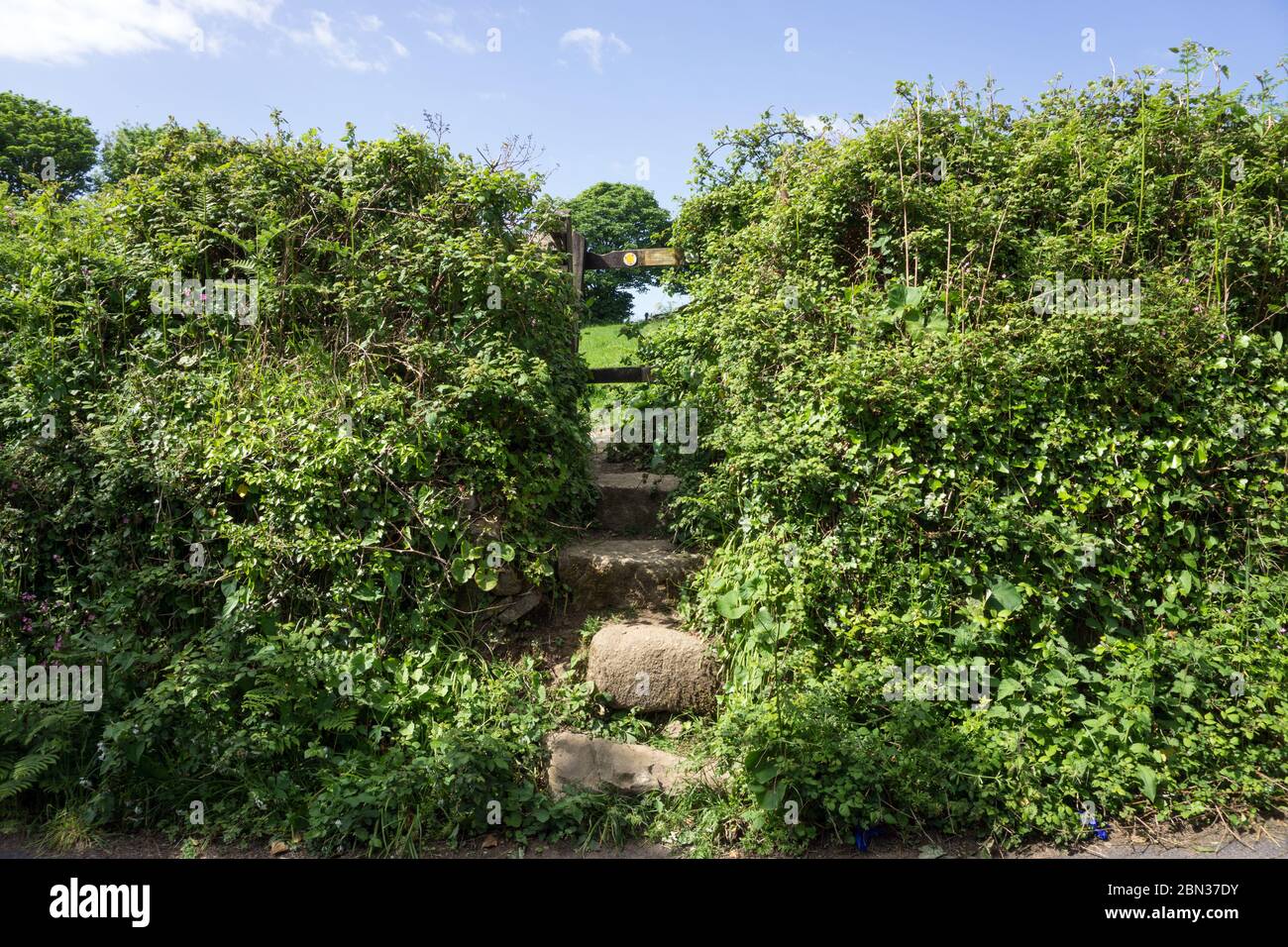 Country Stile and Stone Steps, Heamoor, Cornwall, Royaume-Uni Banque D'Images