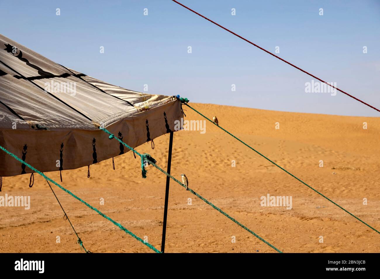 Camp dans le désert marocain. Banque D'Images