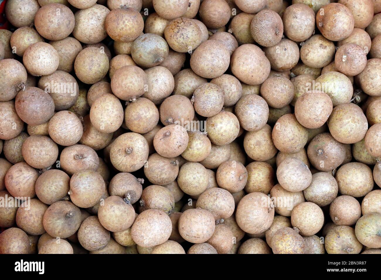 Le dimocarpus longane, communément appelé longane. Fruits à vendre sur le marché. Vietnam. Banque D'Images