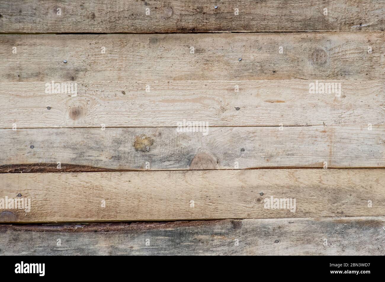 bois vierge, panneaux de planches rugueuses, arrière-plan, texture Banque D'Images