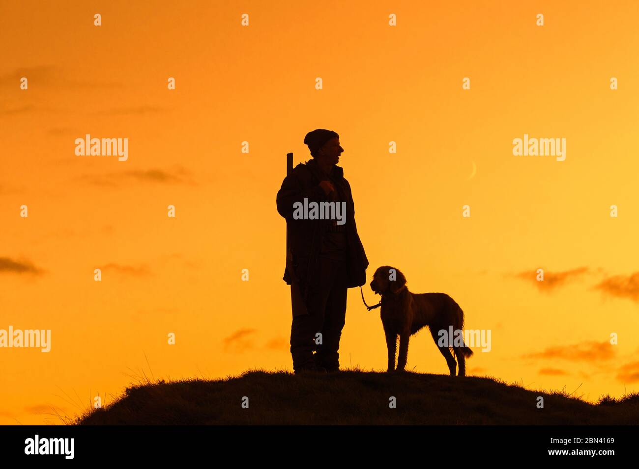 Chasseur avec fusil de chasse et chien Weimaraner silhoueté contre le ciel de la soirée Banque D'Images