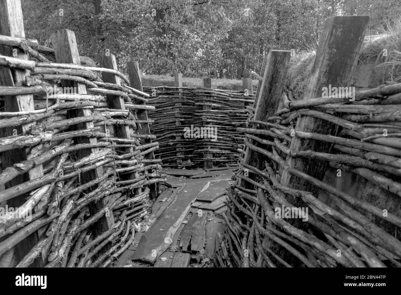Un système de tranchées et des bunkers de l'armée allemande utilisés pendant la première Guerre mondiale à Bayernwald (Bayern Wood) près d'Ypres, Belgique. Banque D'Images