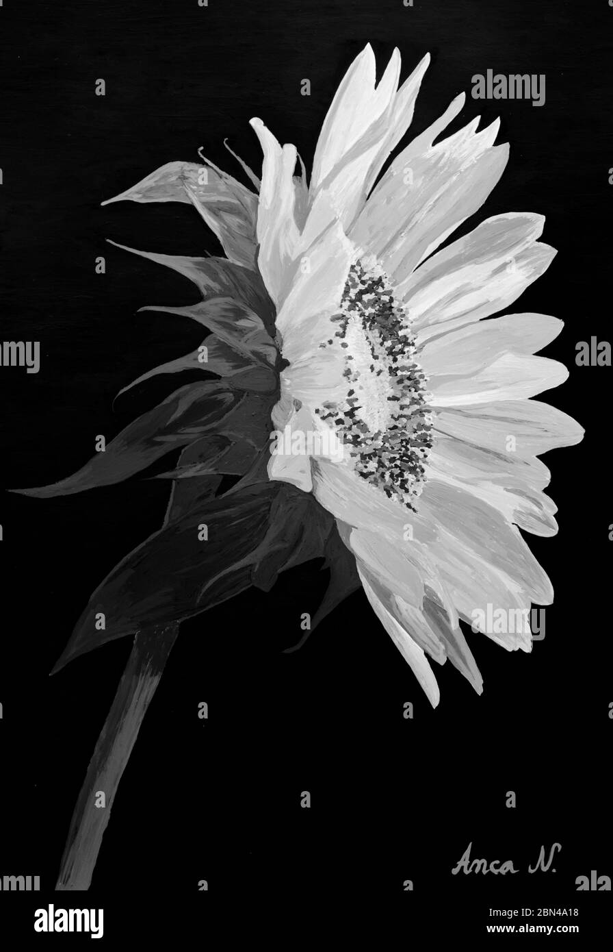 Peinture florale soleil toile art Banque D'Images