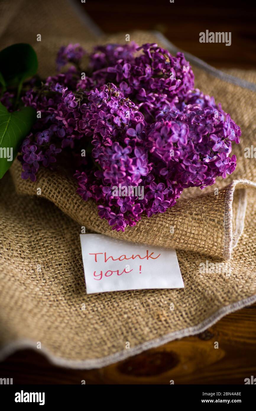 bouquet de beau lilas de printemps violet en toile de jute Banque D'Images