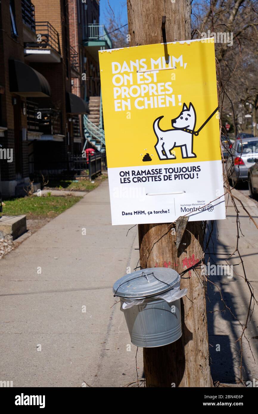 Panneau sur la rue du quartier de Montréal pour ramasser après que les chiens font des affaires sur le trottoir avec seau et sacs Banque D'Images