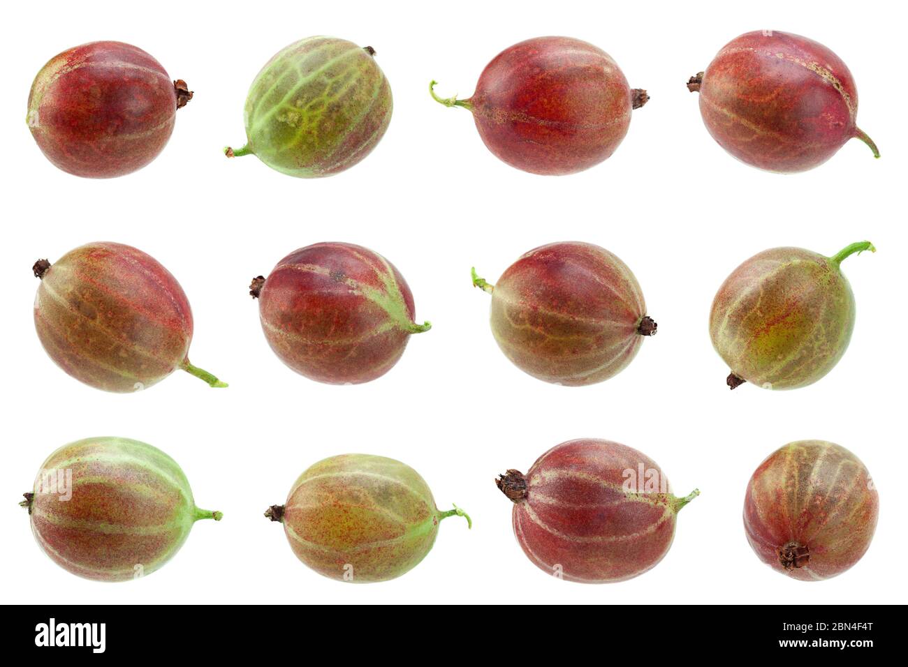 Ensemble de groseilles à maquereau rouge isolé sur fond blanc Banque D'Images