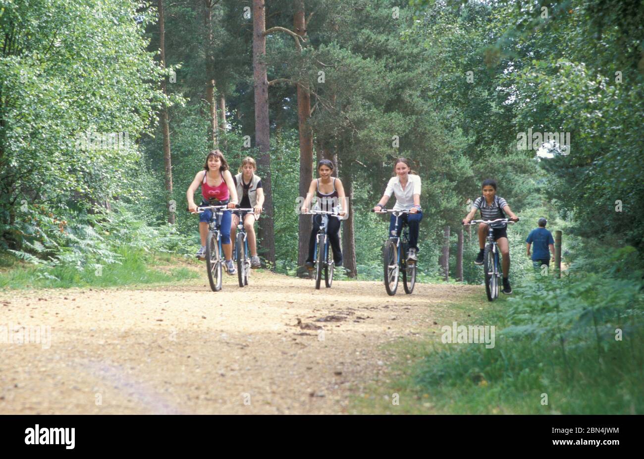 Adolescentes qui font du vélo dans la New Forest, Hampshire, en Angleterre Banque D'Images