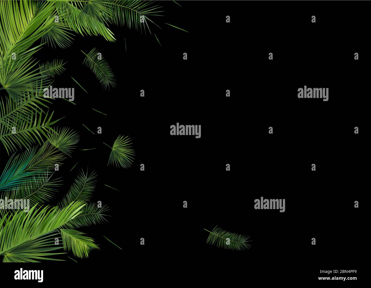 Collection de feuilles de palmier tropicales sur fond sombre. Belle bannière. Conception botanique exotique. Différentes feuilles de palmier. Feuilles réalistes avec espace de copie pour votre texte. illustration 3d. Banque D'Images