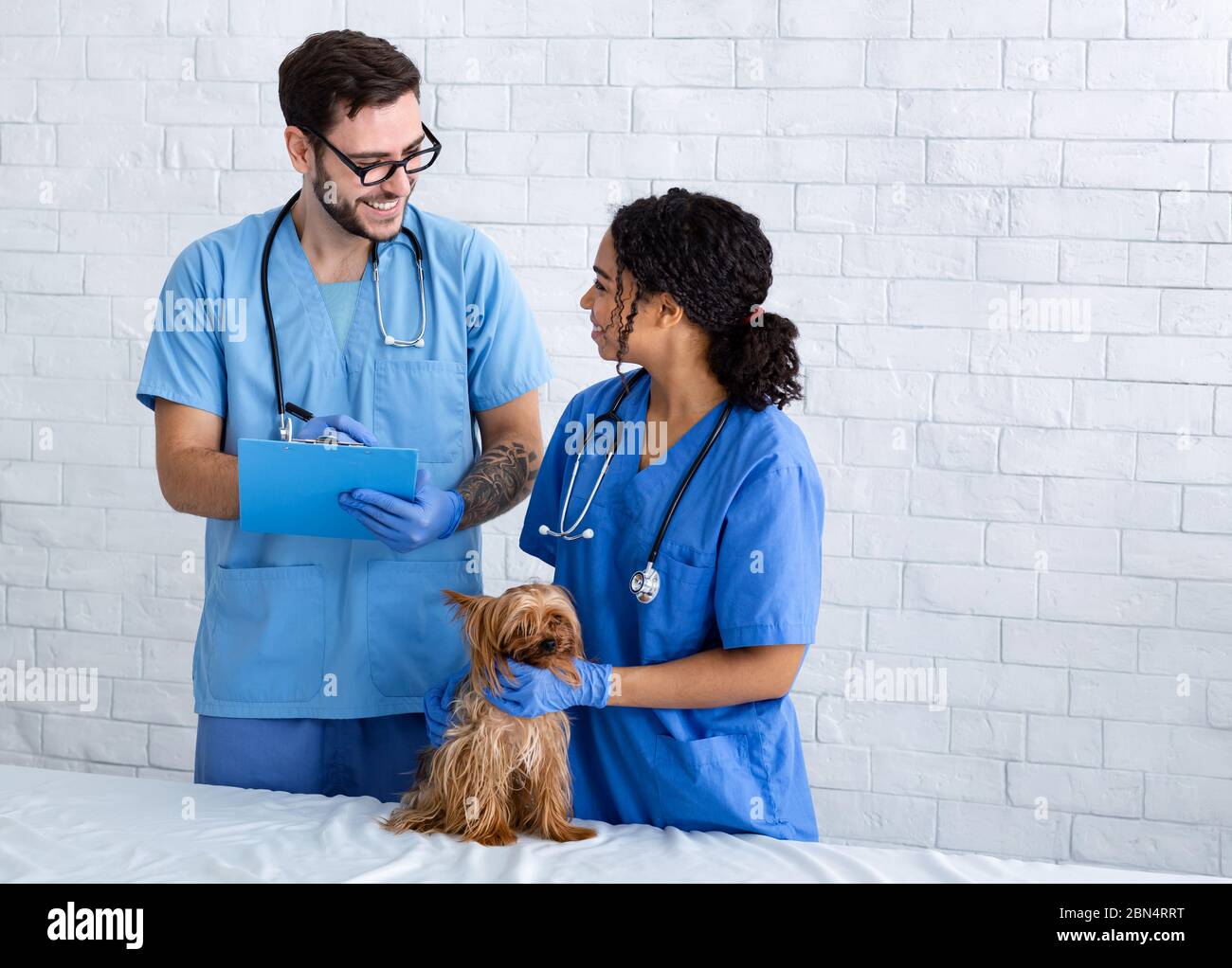 Équipe de pratique vétérinaire avec petit patient drôle en clinique, espace vide Banque D'Images
