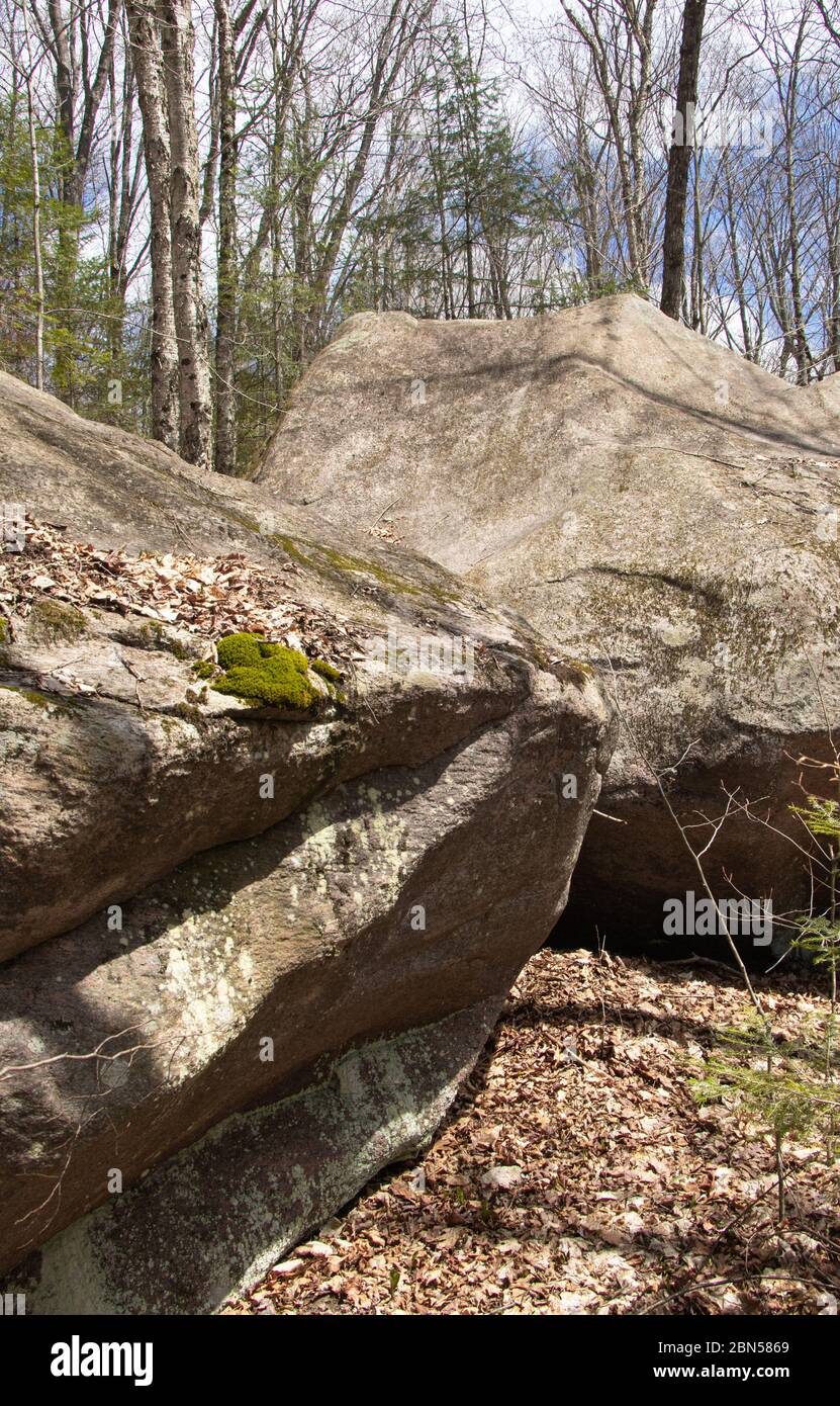 Immense rocher glaciaire le long de Beaver Meadow Trail à Arrowhead Park Banque D'Images