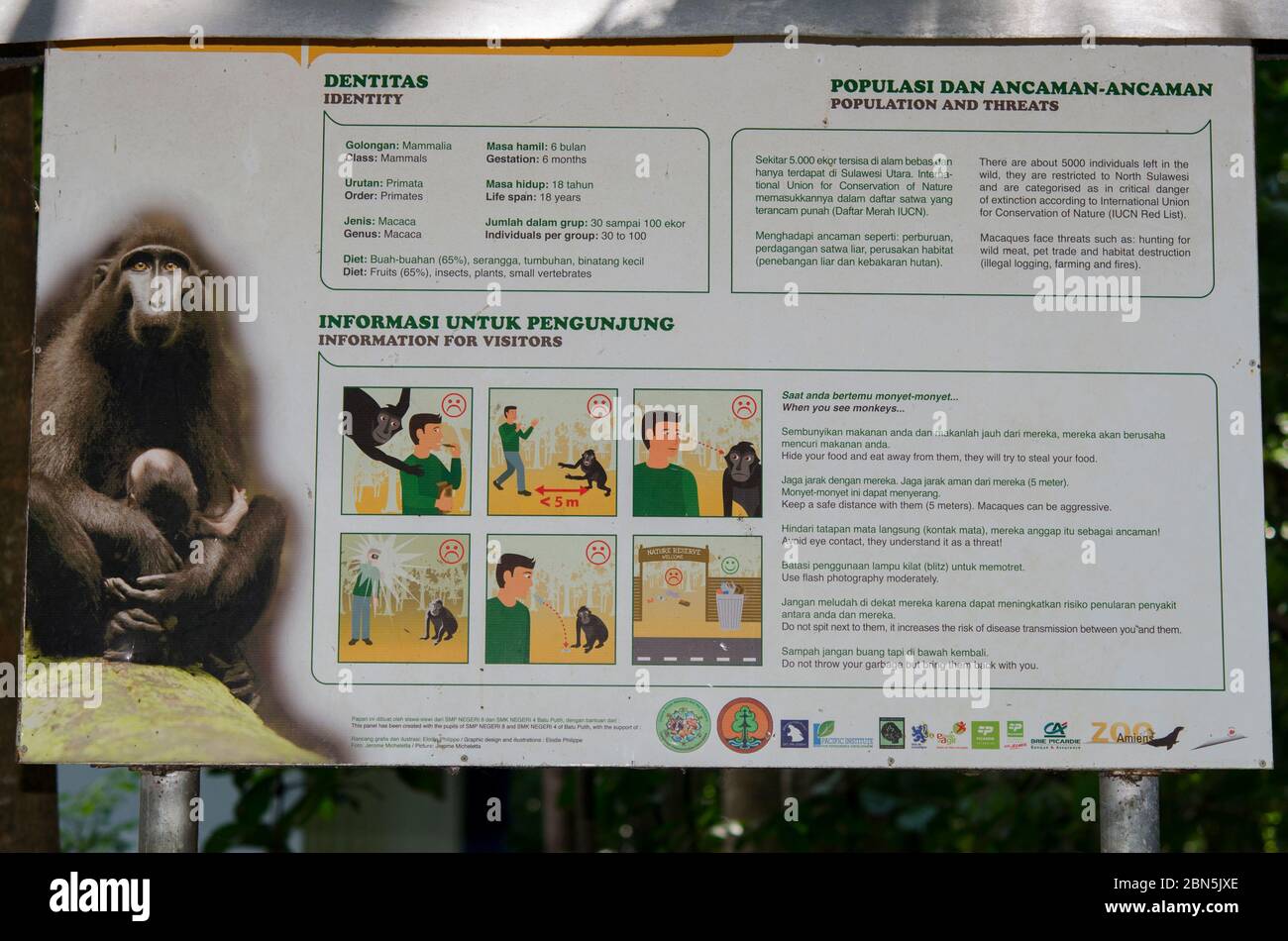 Panneau concernant les singes macaques noirs à crête, Macaca nigra, Parc national de Tangkoko, Sulawesi, Indonésie Banque D'Images