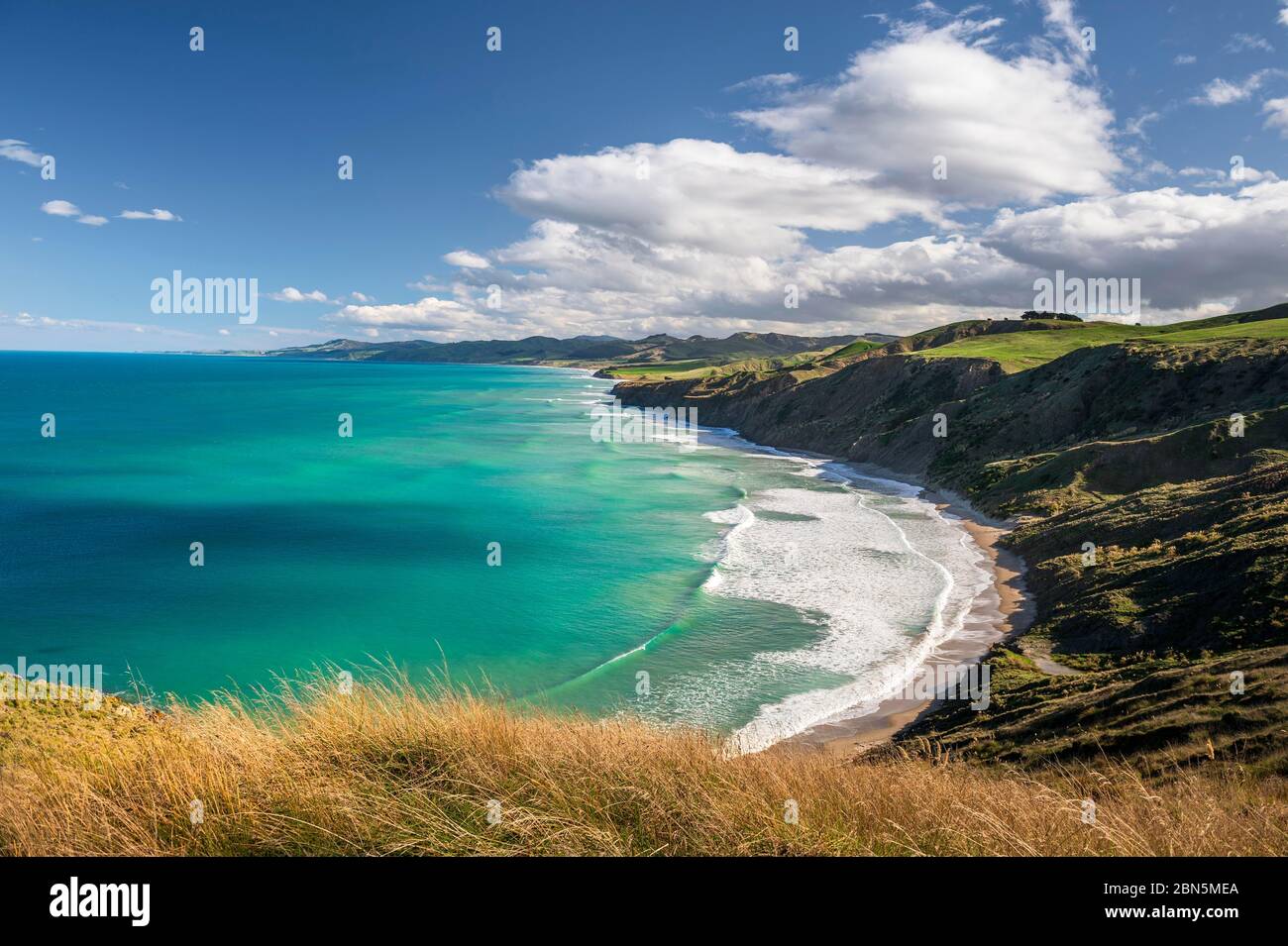 Littoral de Castlepoint, paysage vallonné, Masterton, Wellington, Nouvelle-Zélande Banque D'Images