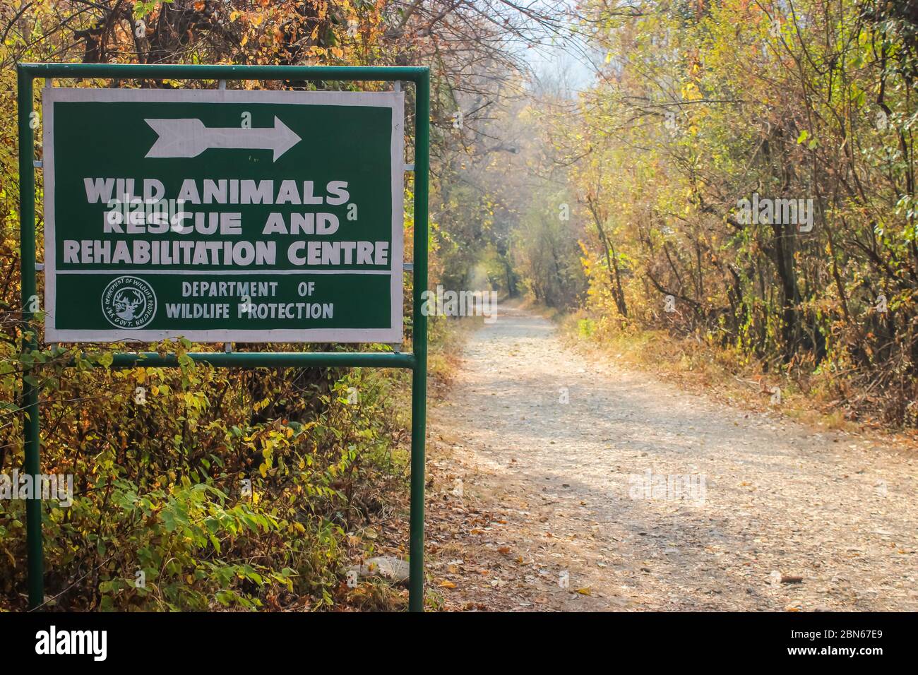 Dachigam, Srinagar, Inde: Date: 15 novembre 2018- PANNEAU d'affichage dans le parc national de Dachigam, à Srinagar, au Cachemire Banque D'Images