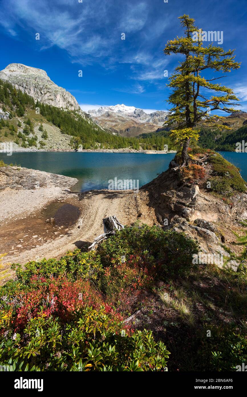Codelago, Parco Naturale dell'Alpe Veglia e dell'Alpe Devero, Verbano Cusio Ossola, Piemonte, Italie, Europe du Sud Banque D'Images